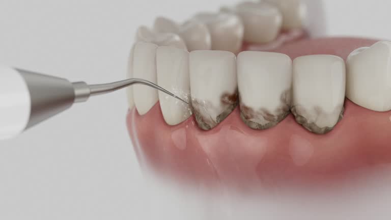 Reliable Dental contractor in Mission, TX by Dentist Open Now